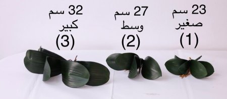 ورد مكمل خضار الاوركيد - ميقانيت ( 5 فروع )