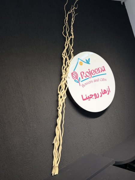 عروق شجر طبيعي عڤريم خميل ارتفاع 200 سم ( ربطة 6 عروق )